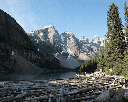 Forestry Laser Rangefinder Devices | Laser Tech